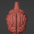 10.png 3D Model of Canine Brain with Arteries