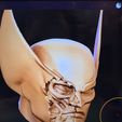 2.jpg Wolverine skull bust