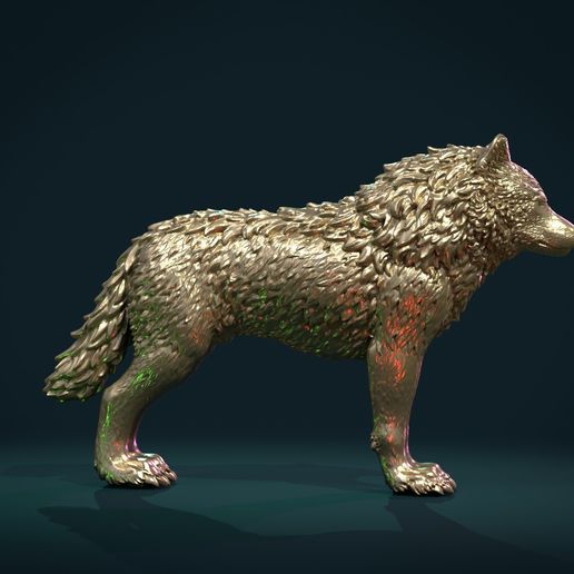 Wolf_IIIx-10.jpg Wolf IV