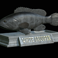 White-grouper-statue-4.png fish white grouper / Epinephelus aeneus statue detailed texture for 3d printing