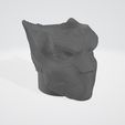 taza-Pantera-Pedim3d.stl-‎-Visor-3D.jpg black panther mug (black panther)