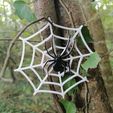 IMG_20211017_153734.jpg STL file Halloween Spider・3D printable model to download