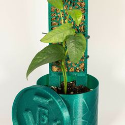 DSC_2546.jpg 3D-Datei Parametric Flower Pot With Moss Pole Indoor/Outdoor Planter with Saucer Included・Modell zum Herunterladen und 3D-Drucken