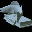 zander-statue-4-mouth-open-41.png fish zander / pikeperch / Sander lucioperca open mouth statue detailed texture for 3d printing