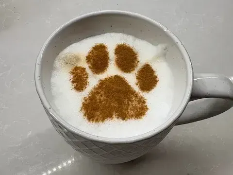 3-Pack Paw Latte Coffee Stencils
