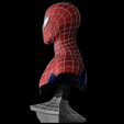 Base-Render-25269.jpg Spider-Man Bust (Sam Raimi Version)