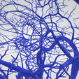 vein,-artery,-cerebrovascular,-brain,-face,-hemisphere,-willis,-dental,-neck,-head,-cerebellum,-vasc.png 3D 头颈部血管解剖图 - 动脉、静脉和脑血管系统