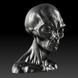 extraterrestrial-creature-3dprint.png 逼真的外星人胸像 STL - 外星人科幻生物 3D 打印模型