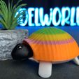 Tortue Spongieuse