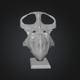 Captura-de-pantalla-2025-11-27-132537.png Protoceratops Skull