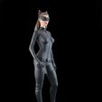 DSC_0395.jpg Catwoman Selina Kyle