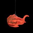 Planet-Gazing-9.jpg Planet Gazing