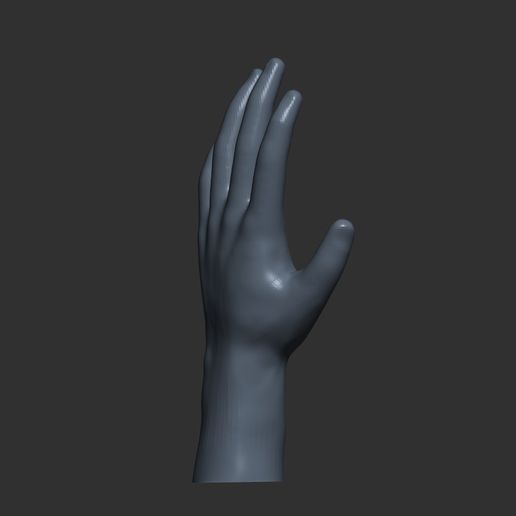 6.jpg Rigging Hand model, rigging hand model