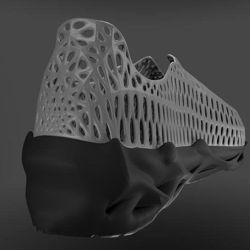 4.png Zapatos ION Fuego Voronoi