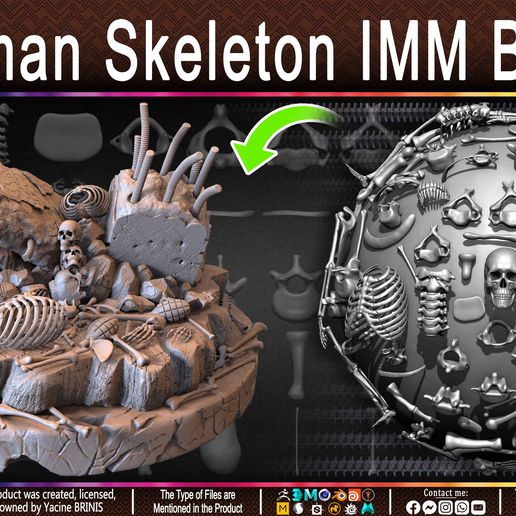 Human-Skeleton-IMM-Brushes-Sculpted-By-Yacine-BRINIS-Set-026.jpg Human Skeleton IMM Brushes