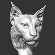 03.png Lynx head AM18 3D print model