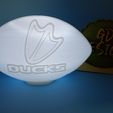 IMG_20230630_210321262.jpg Oregon Ducks Football Light