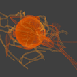 14.png 3D Model of Complete Eye Anatomy
