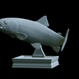 Rainbow-trout-trophy-36.png rainbow trout / Oncorhynchus mykiss fish in motion trophy statue detailed texture for 3d printing