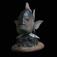 Dentex-statue-1-4.png fish Common dentex / dentex dentex statue underwater detailed texture for 3d printing
