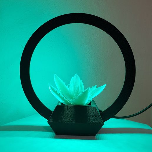 20230401_104717.jpg #PLANTERSXCULTS Planter with Decorative Led Lighting #LAMPSXCULTS