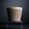 DSCF8650.jpg delta · planter
