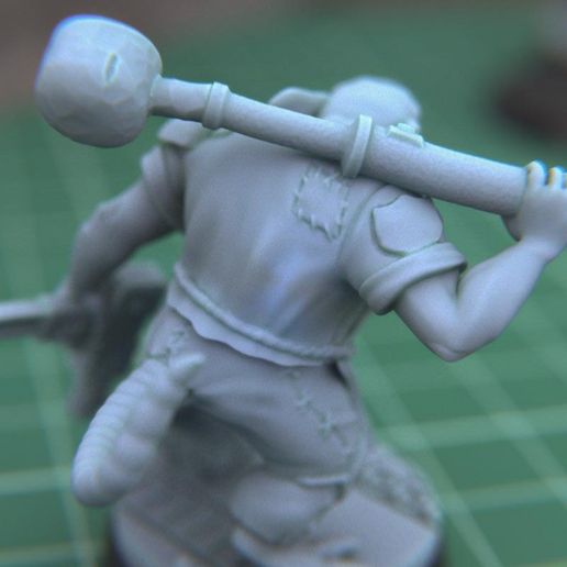 5.jpg Рататулли