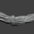 1.png Human Elbow Joint Anatomy — Bones, Ligaments, and Muscle Insertions
