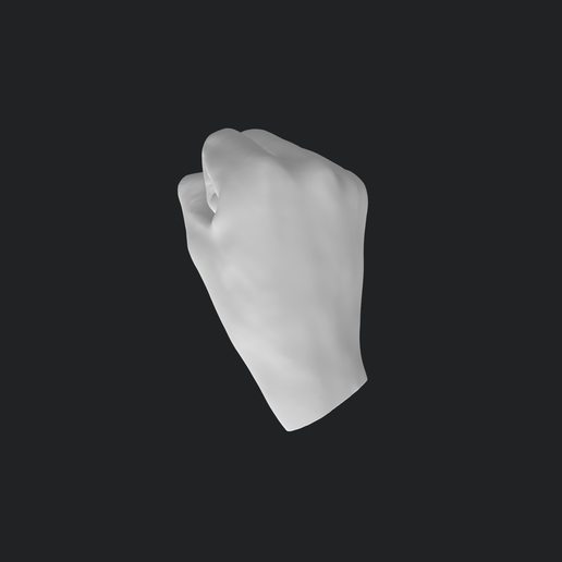 Screenshot-2025-02-18-at-9.17.55-PM.png CLENCHED FIST HAND MODEL
