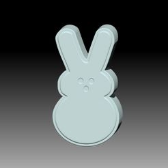 Bunnyy.jpg STL file BUNNY SOLID SHAMPOO AND MOLD FOR SOAP PUMP・3D printable model to download, __Bubbles