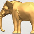 TDA0592 Elephant 07 A02.png Elephant 07