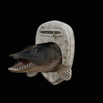 northern-pike.png head trophy NORTHERN PIKE (ESOX LUCIUS) open mouth statue detailed texture for 3d printing