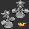 2side_bw.jpg Shadow the Hedgehog levantando pesas