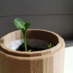 IMG_20170519_095401.jpg Free OBJ file Mini greenhouse for planting・3D printing design to download