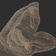 Dune_Worm_HeadWire.png Gusano de las dunas -Shai-Hulud- Modelo 3D