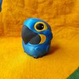 IMG_20260128_152031673.jpg Parrot Nesting Dolls