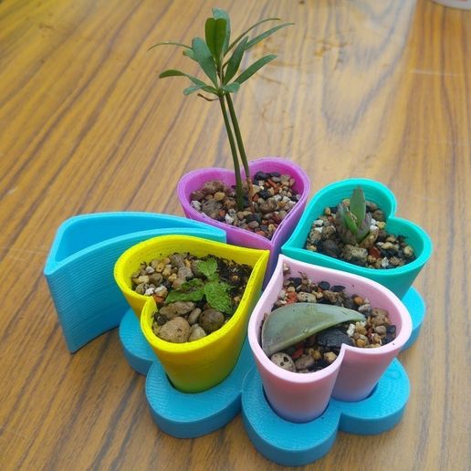 Love potted to a Four-leaf clover 3D model