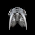 bandicam-2026-02-08-13-51-58-401.jpg CHINESE WATER DEER SKULL
