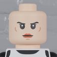Face.jpg Scout Trooper Maxifig - Fully Articulated