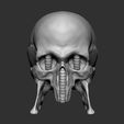 g2.jpg Giger Skull Concept