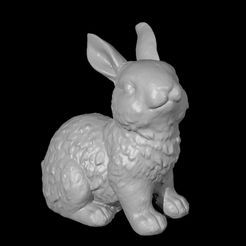 0004.jpg Cute Bunny - 3D Scan