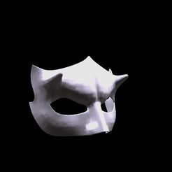 IMG_20220429_234708.jpg mask