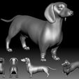 4.jpg Dutch hound Dachshund 3D printable model