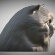 Zrzut-ekranu-2025-06-14-111329.png Persian cat head for 3D printing