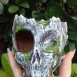20241227_140947.jpg Skull Tree Root Wall Mounted Hide
