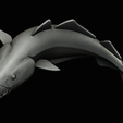 coalfish-open-mouth-statue-box-66.png COALFISH / POLLACHIUS VIRENS trophy with storage space for 3d printing