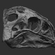 ZBrush Document01_Cults.jpg Life size Citipati (Oviraptor) skull and cervical vertebrae