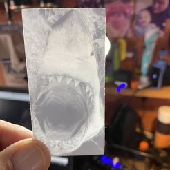 IMG_2957.jpg Free STL file Great White Lithophane・Object to download and to 3D print