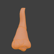 13.png 3D Nose Anatomy Model