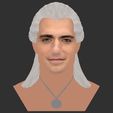37.jpg Geralt of Rivia The Witcher Cavill bust full color 3D printing